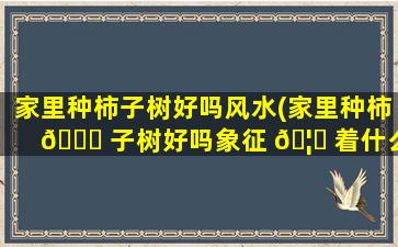家里种柿子树好吗风水(家里种柿 🍁 子树好吗象征 🦋 着什么)